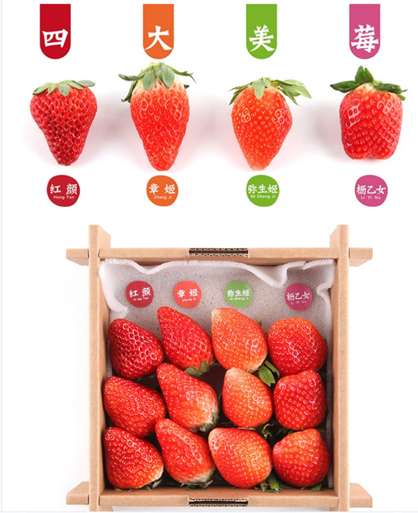 四大美莓-向揚品牌