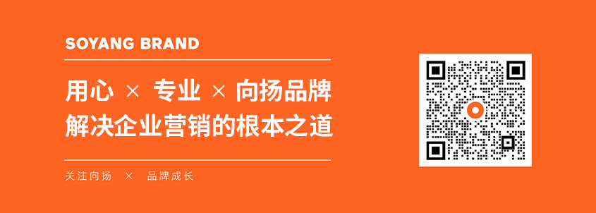 向揚(yáng)品牌深圳品牌營銷策劃公司.jpg